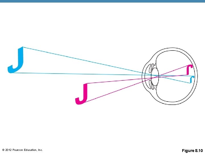 © 2012 Pearson Education, Inc. Figure 8. 10 