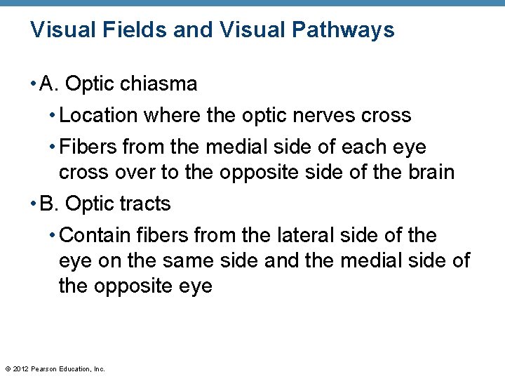 Visual Fields and Visual Pathways • A. Optic chiasma • Location where the optic