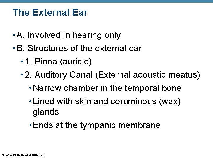 The External Ear • A. Involved in hearing only • B. Structures of the