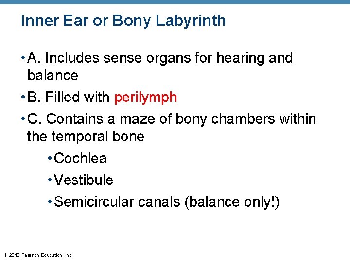 Inner Ear or Bony Labyrinth • A. Includes sense organs for hearing and balance