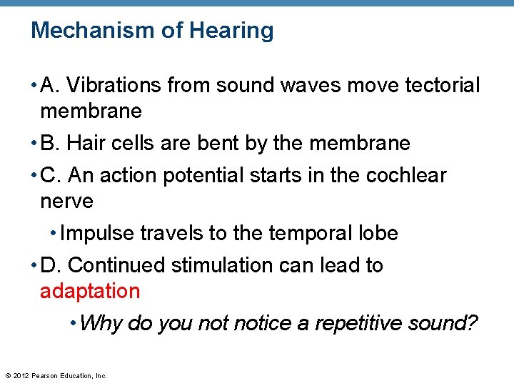 Mechanism of Hearing • A. Vibrations from sound waves move tectorial membrane • B.