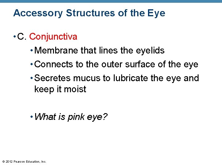 Accessory Structures of the Eye • C. Conjunctiva • Membrane that lines the eyelids