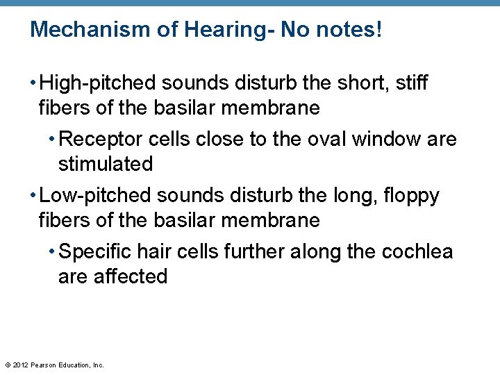 Mechanism of Hearing- No notes! • High-pitched sounds disturb the short, stiff fibers of