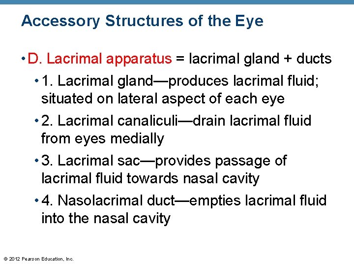 Accessory Structures of the Eye • D. Lacrimal apparatus = lacrimal gland + ducts