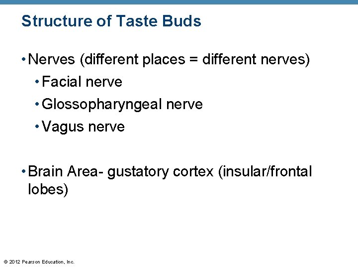 Structure of Taste Buds • Nerves (different places = different nerves) • Facial nerve