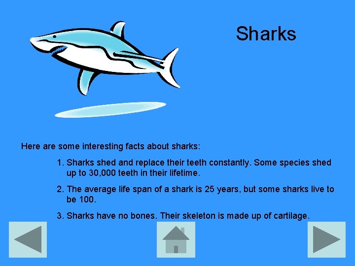 Sharks Here are some interesting facts about sharks: 1. Sharks shed and replace their