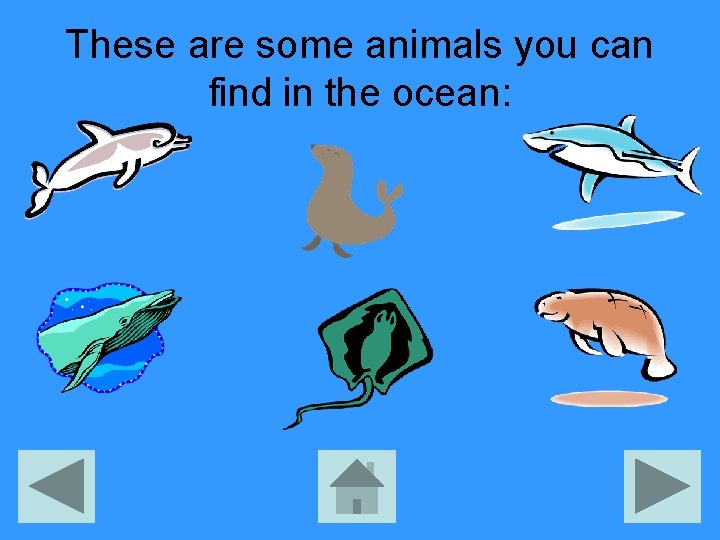 These are some animals you can find in the ocean: 