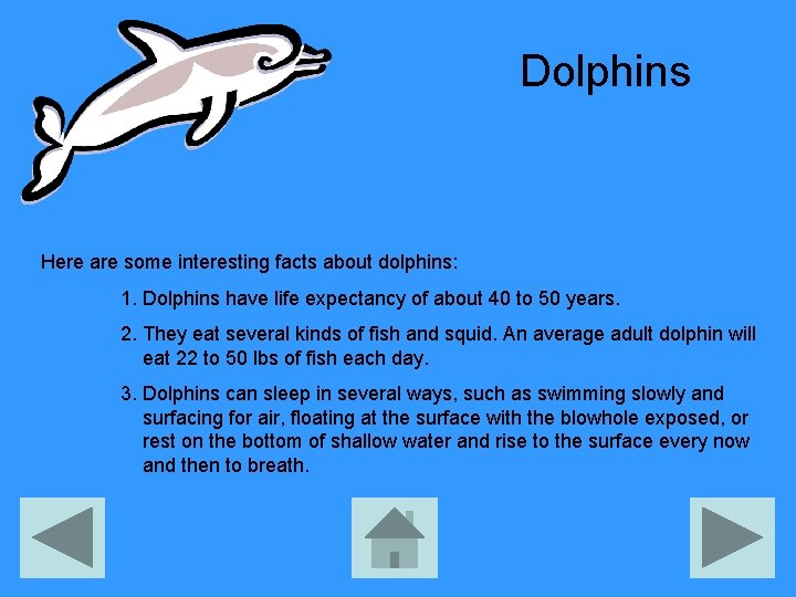 Dolphins Here are some interesting facts about dolphins: 1. Dolphins have life expectancy of