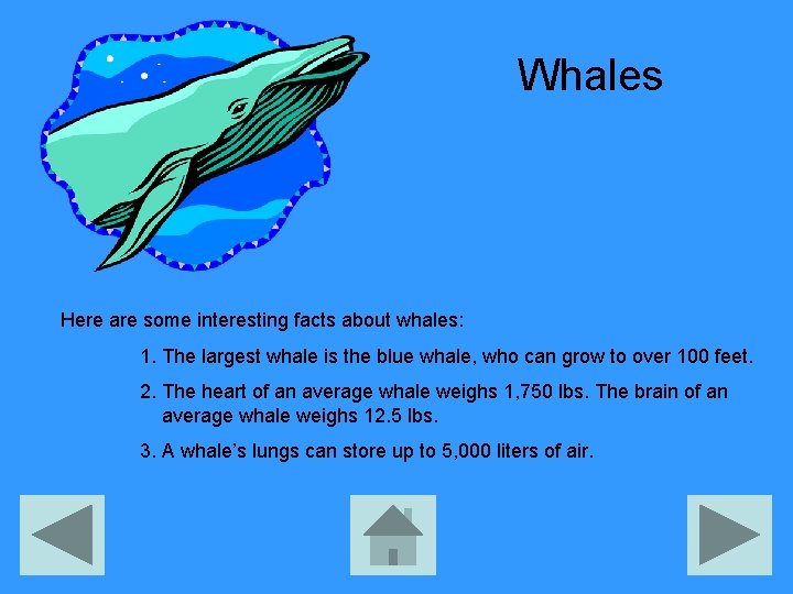 Whales Here are some interesting facts about whales: 1. The largest whale is the