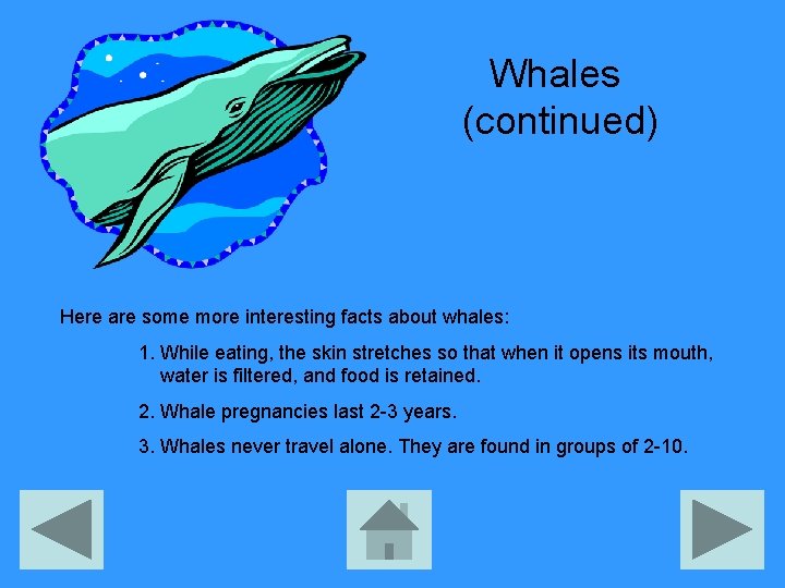 Whales (continued) Here are some more interesting facts about whales: 1. While eating, the