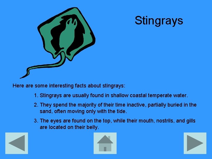 Stingrays Here are some interesting facts about stingrays: 1. Stingrays are usually found in