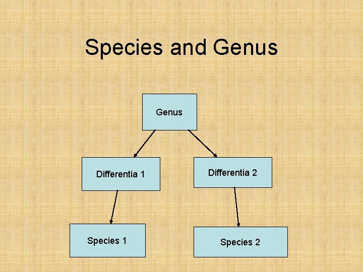 Species and Genus Differentia 1 Species 1 Differentia 2 Species 2 