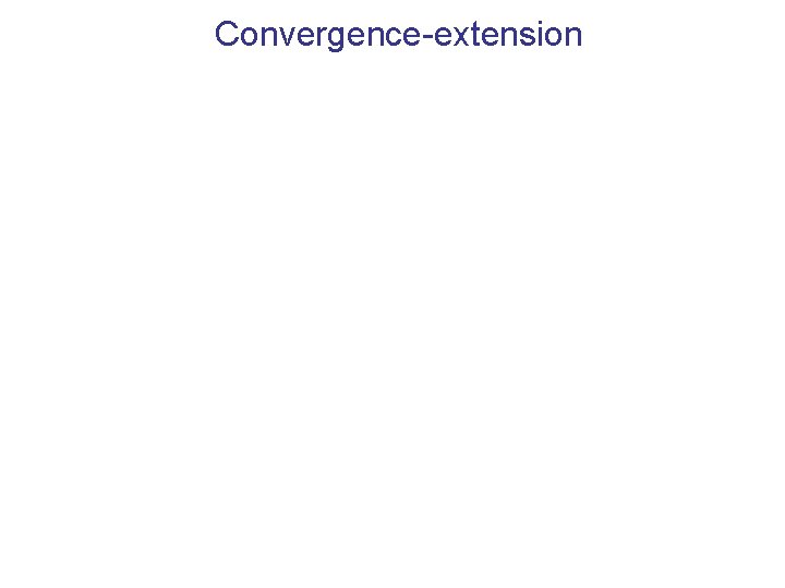 Convergence-extension 