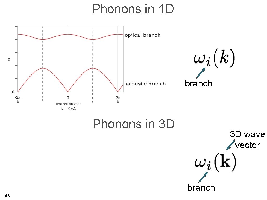 Phonons in 1 D branch Phonons in 3 D 3 D wave vector branch