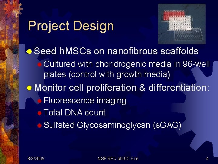 Project Design ® Seed h. MSCs on nanofibrous scaffolds ® Cultured with chondrogenic media