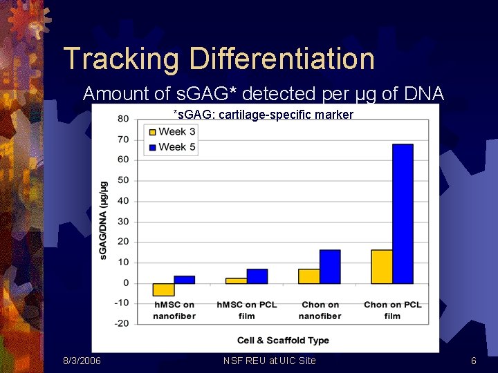 Tracking Differentiation Amount of s. GAG* detected per μg of DNA *s. GAG: cartilage-specific