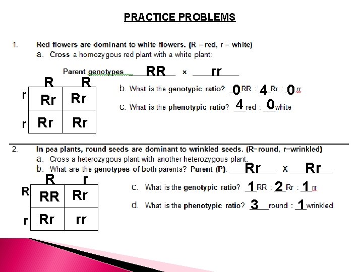 PRACTICE PROBLEMS R R r Rr Rr rr 0 4 0 Rr R r