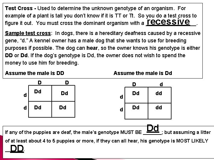 Test Cross - Used to determine the unknown genotype of an organism. For example