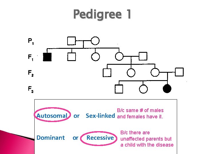 Pedigree 1 Circle one in each pair: Autosomal or Sex-linked Dominant or Recessive B/c