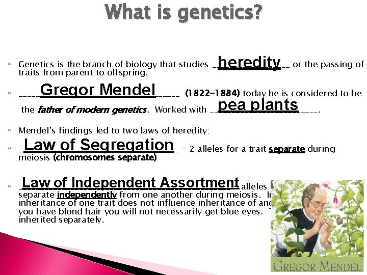 What is genetics? heredity Genetics is the branch of biology that studies _________ or