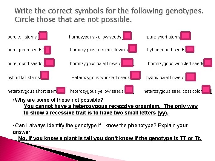 Write the correct symbols for the following genotypes. Circle those that are not possible.