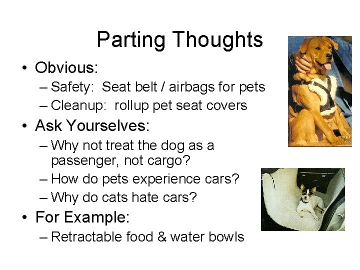 Parting Thoughts • Obvious: – Safety: Seat belt / airbags for pets – Cleanup:
