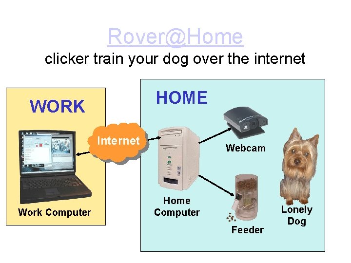 Rover@Home clicker train your dog over the internet HOME WORK Internet Work Computer Webcam