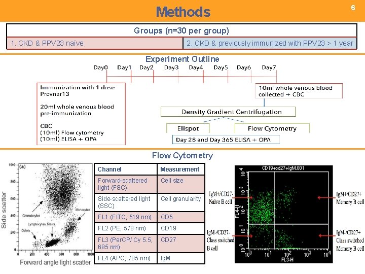 Methods 6 Groups (n=30 per group) 1. CKD & PPV 23 naïve 2. CKD