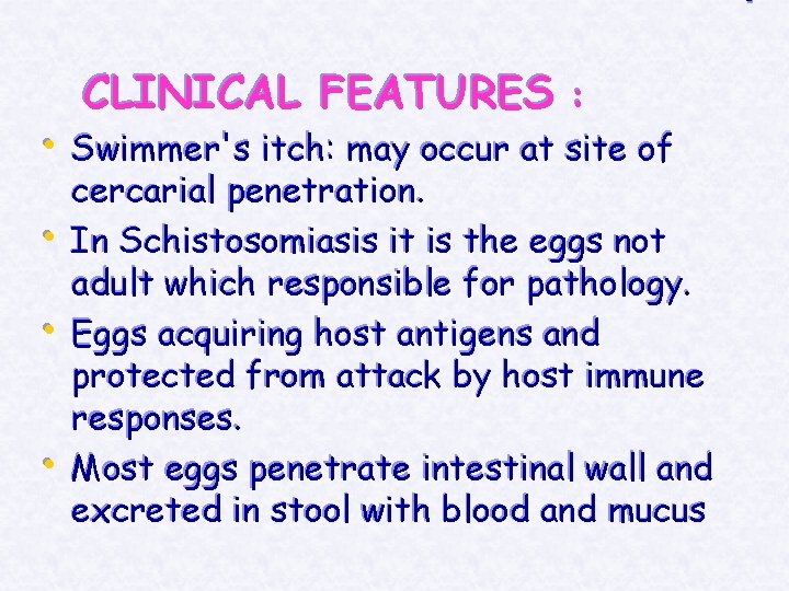  • • CLINICAL FEATURES : Swimmer's itch: may occur at site of cercarial