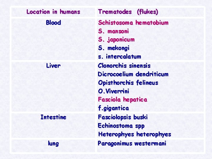 Location in humans Trematodes (flukes) Blood Schistosoma hematobium S. mansoni S. japonicum S. mekongi