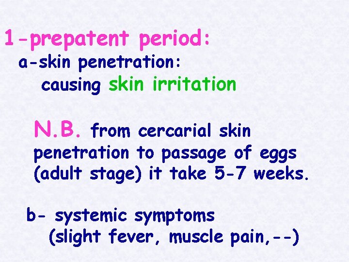 1 -prepatent period: a-skin penetration: causing skin irritation N. B. from cercarial skin penetration