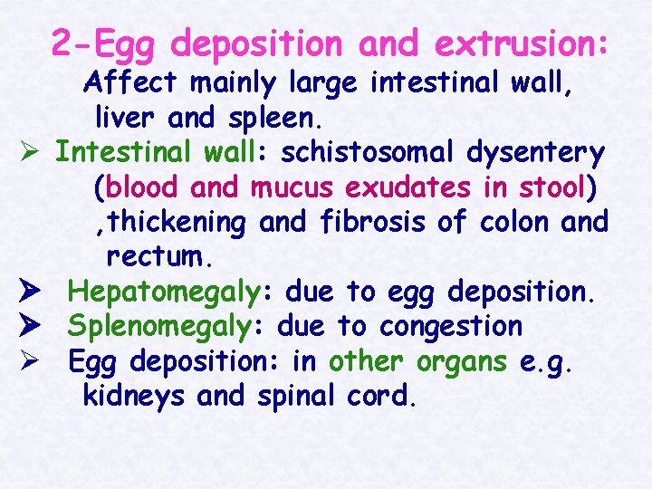 2 -Egg deposition and extrusion: Ø Ø Affect mainly large intestinal wall, liver and