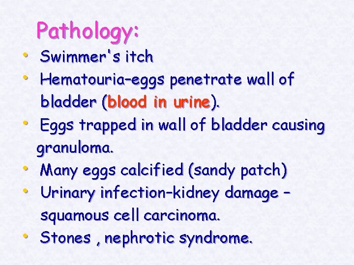 Pathology: • Swimmer's itch • Hematouria–eggs penetrate wall of • • bladder (blood in