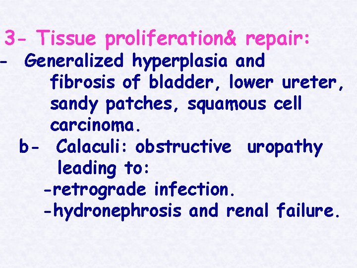 3 - Tissue proliferation& repair: - Generalized hyperplasia and fibrosis of bladder, lower ureter,