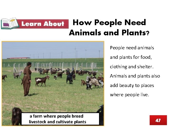 How People Need Animals and Plants? People need animals and plants for food, clothing