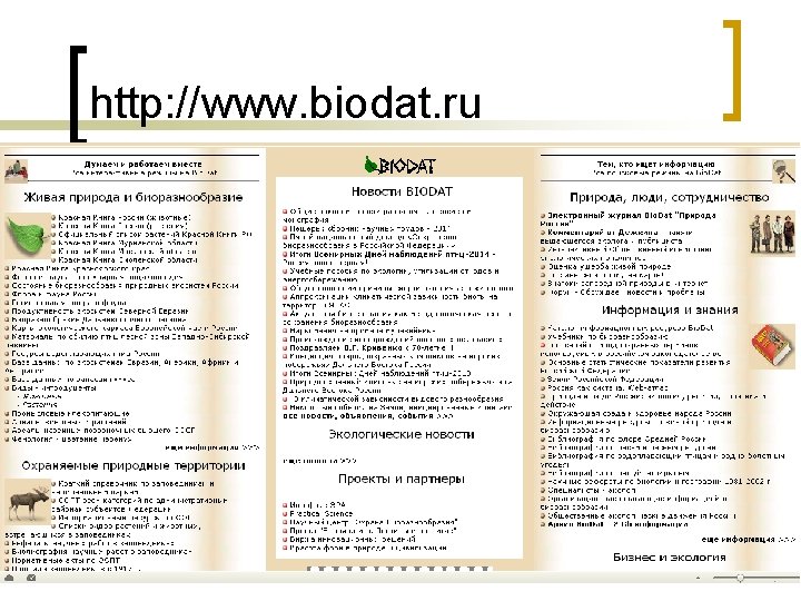 http: //www. biodat. ru 