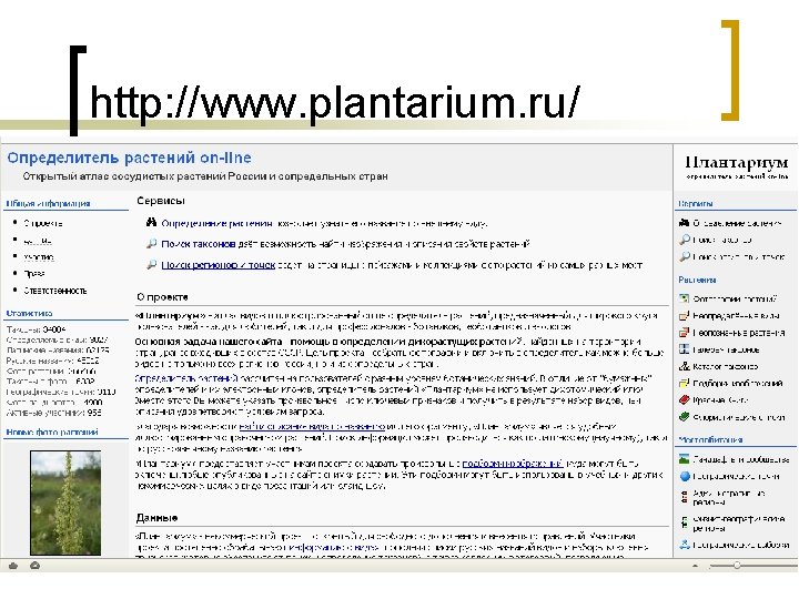 http: //www. plantarium. ru/ 