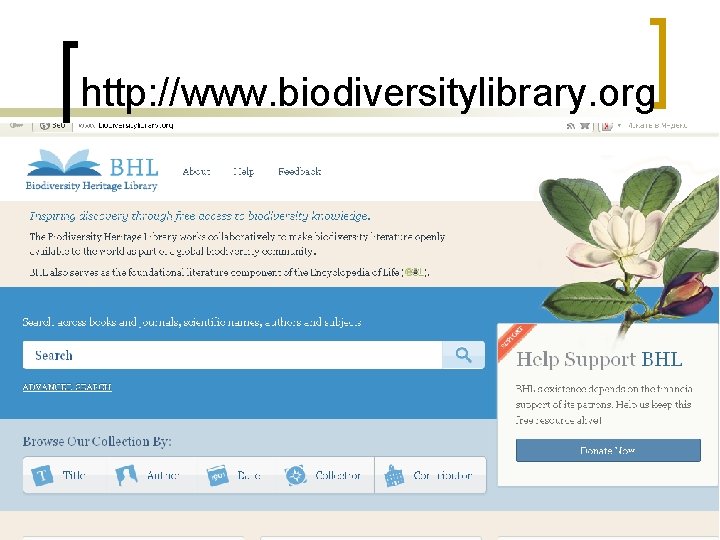 http: //www. biodiversitylibrary. org 