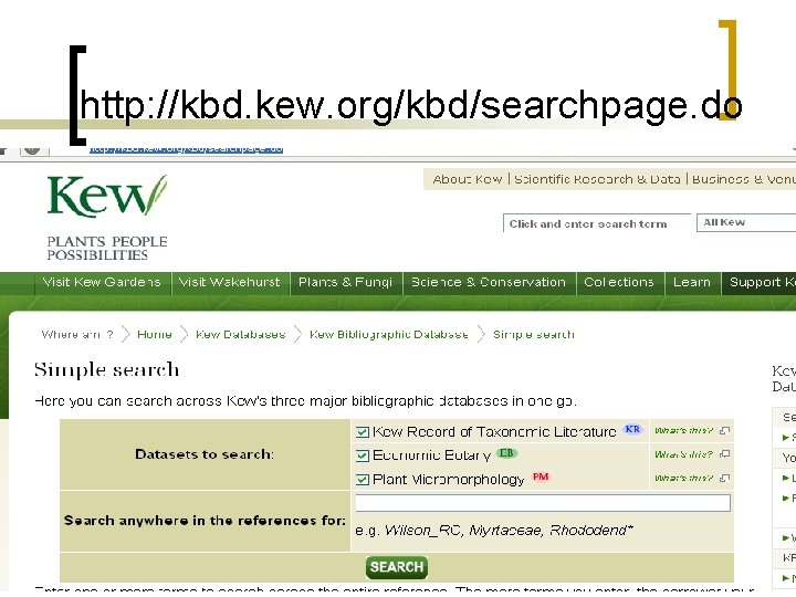 http: //kbd. kew. org/kbd/searchpage. do 