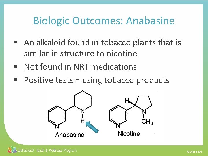 Biologic Outcomes: Anabasine § An alkaloid found in tobacco plants that is similar in