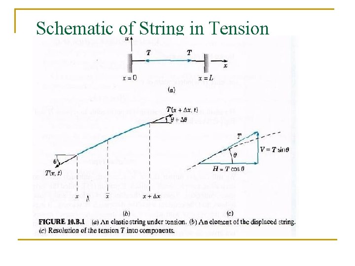 Schematic of String in Tension 