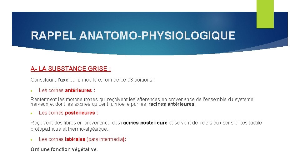 RAPPEL ANATOMO-PHYSIOLOGIQUE A- LA SUBSTANCE GRISE : Constituant l'axe de la moelle et formée