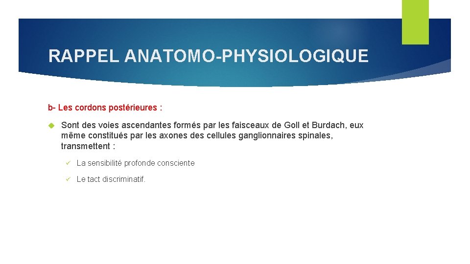 RAPPEL ANATOMO-PHYSIOLOGIQUE b- Les cordons postérieures : Sont des voies ascendantes formés par les