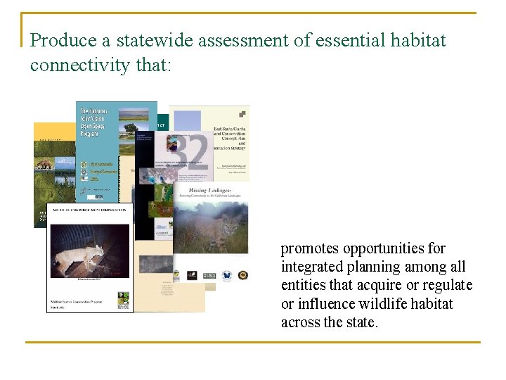 Produce a statewide assessment of essential habitat connectivity that: promotes opportunities for integrated planning