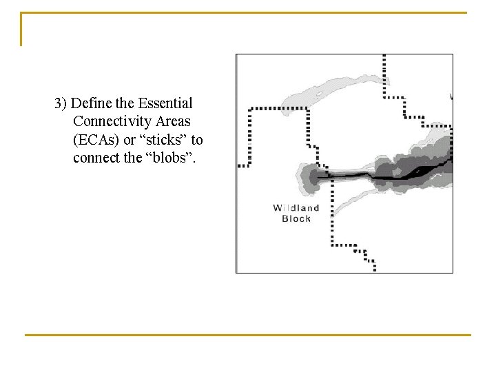 3) Define the Essential Connectivity Areas (ECAs) or “sticks” to connect the “blobs”. 