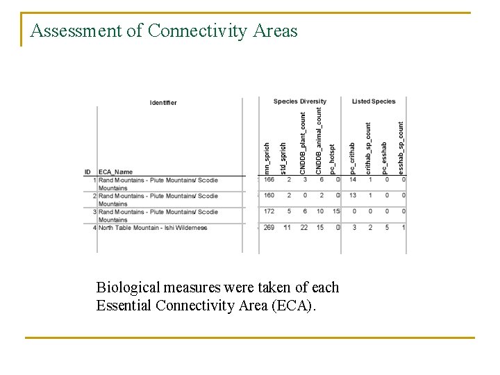 Assessment of Connectivity Areas Biological measures were taken of each Essential Connectivity Area (ECA).