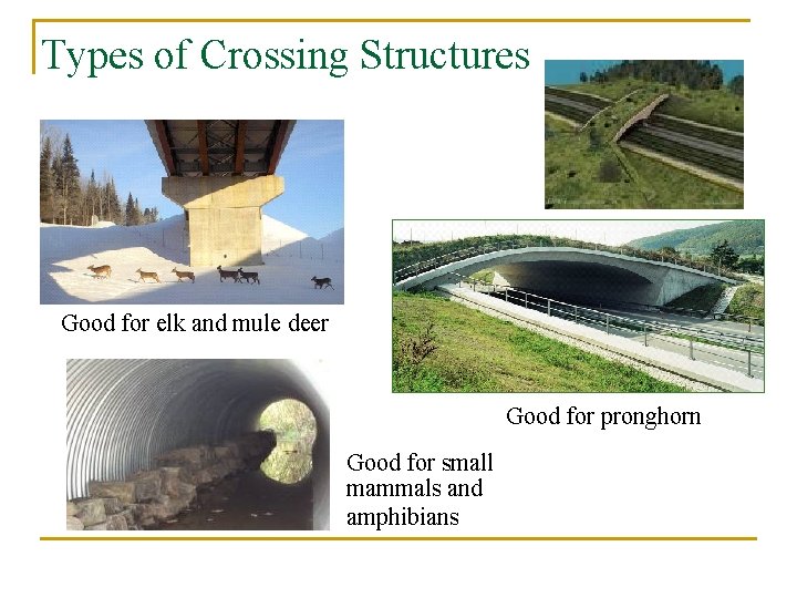 Types of Crossing Structures Good for elk and mule deer Good for pronghorn Good