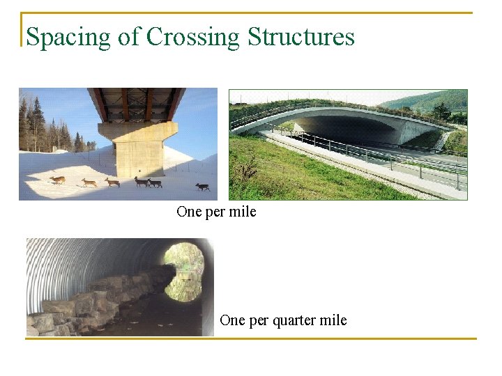 Spacing of Crossing Structures One per mile One per quarter mile 