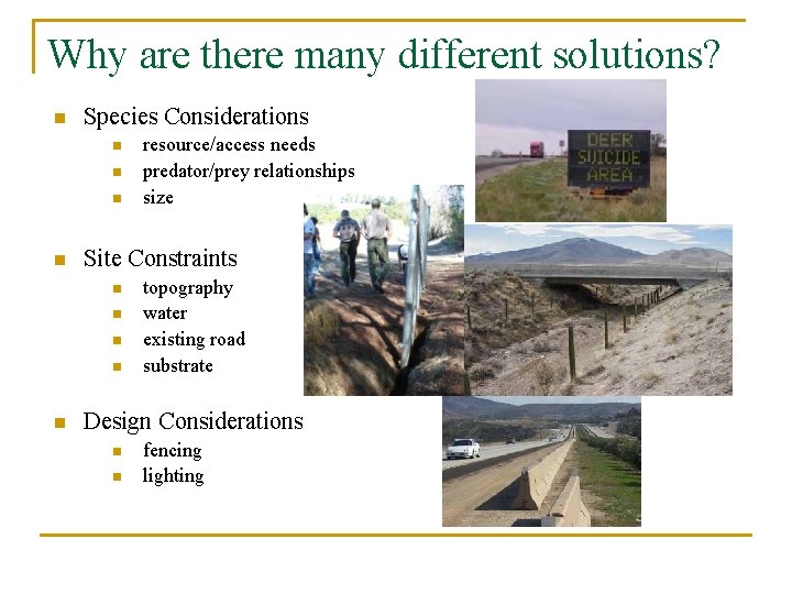 Why are there many different solutions? n Species Considerations n n Site Constraints n