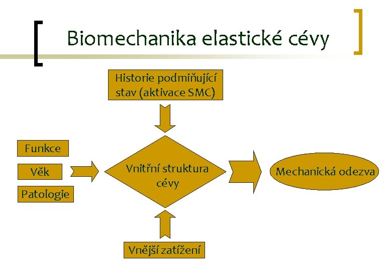 Biomechanika elastické cévy Historie podmiňující stav (aktivace SMC) Funkce Věk Patologie Vnitřní struktura cévy